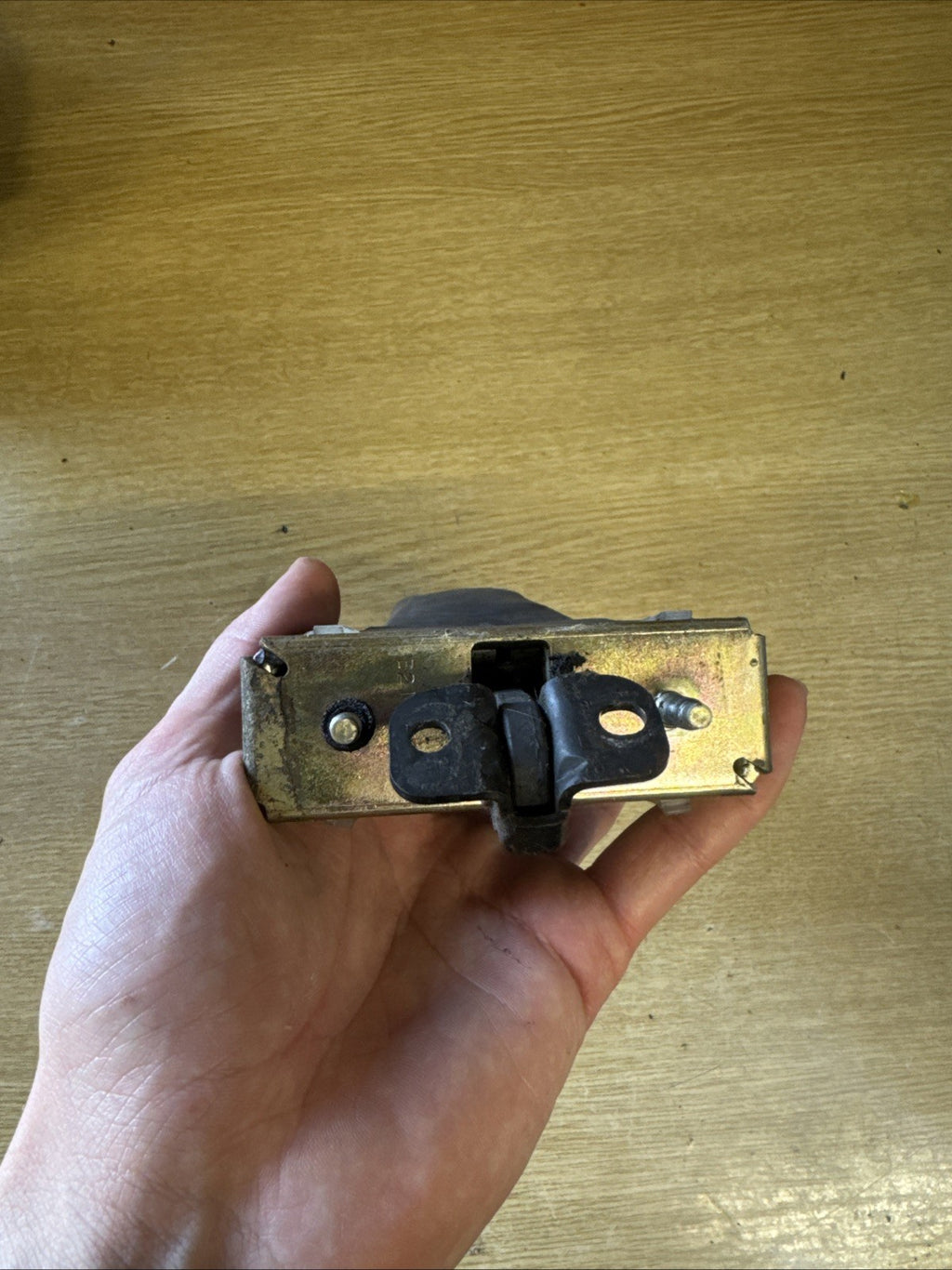 Range Rover Sport L320 NSR Passenger Rear Door Brake Check Strap 5H32-23552-AC